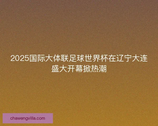 2025国际大体联足球世界杯在辽宁大连盛大开幕掀热潮