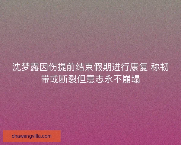 沈梦露因伤提前结束假期进行康复 称韧带或断裂但意志永不崩塌