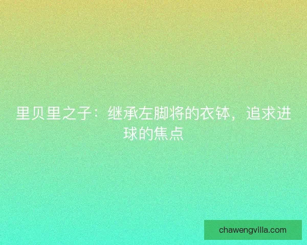 里贝里之子：继承左脚将的衣钵，追求进球的焦点