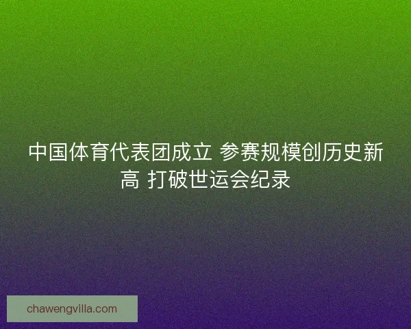 中国体育代表团成立 参赛规模创历史新高 打破世运会纪录